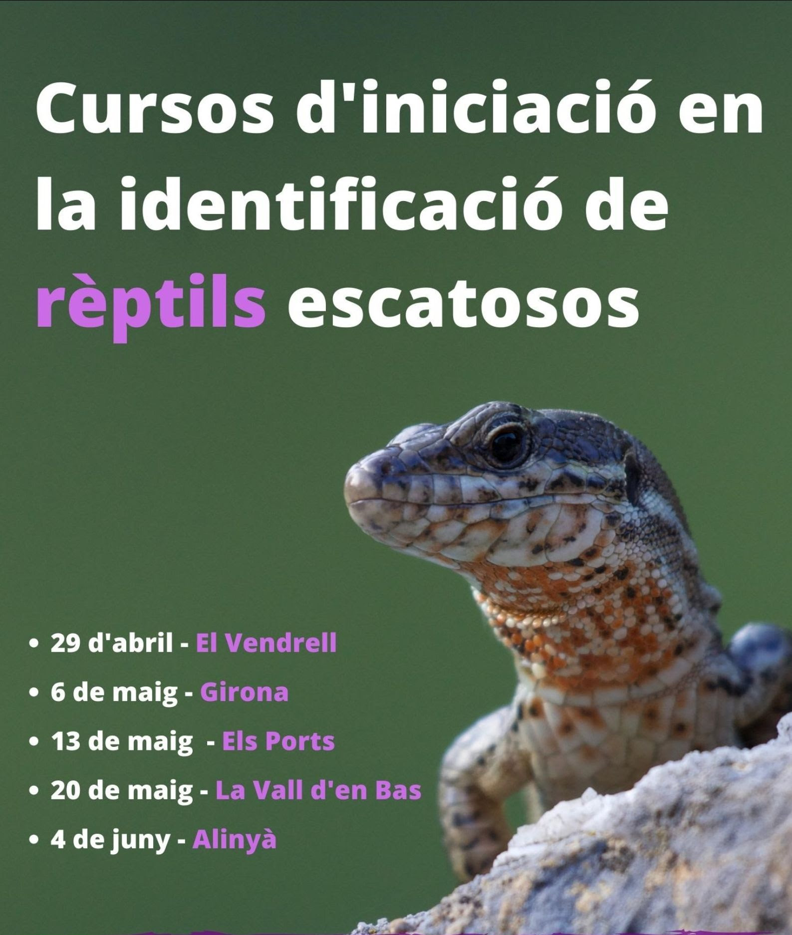 https://ci5.googleusercontent.com/proxy/drFabR-barCigcFbWkQKqxxfdh7fNxjEFHp2c_qdVqlxf1cqzXuUsPHesSC_eZ-3D6l7mlv89ldH_WnccJjuJ4UgFmVyeJKvKT1_nr-UH5JzC5OiCYeEyAxn69V_JeyKdYO-_gxxSZwOh9GWcTMclkDB0x1k4w=s0-d-e1-ft#https://mcusercontent.com/2b32ce9c478d148cf9ad8c62a/images/d66b042b-08bd-5a6b-c02e-ea8aa7408fdf.jpg