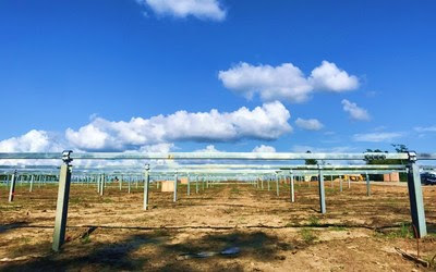 O primeiro projeto de 3.1MWp, implementando rastreadores da Arctech Solar de eixo único, está em construção no Estado da Geórgia, Estados Unidos O primeiro projeto de 3.1MWp, implementando rastreadores da Arctech Solar de eixo único, está em construção no Estado da Geórgia, Estados Unidos