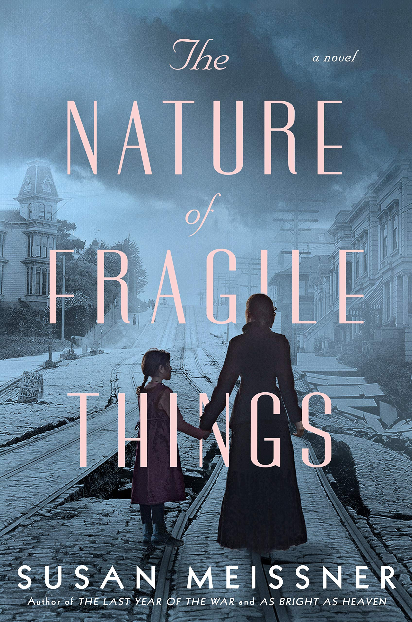 The Nature of Fragile Things EPUB