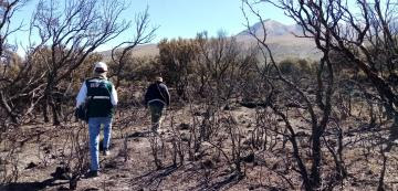 Junín, Puno y Ucayali son los departamentos donde más alertas de incendios forestales se han registrado este año