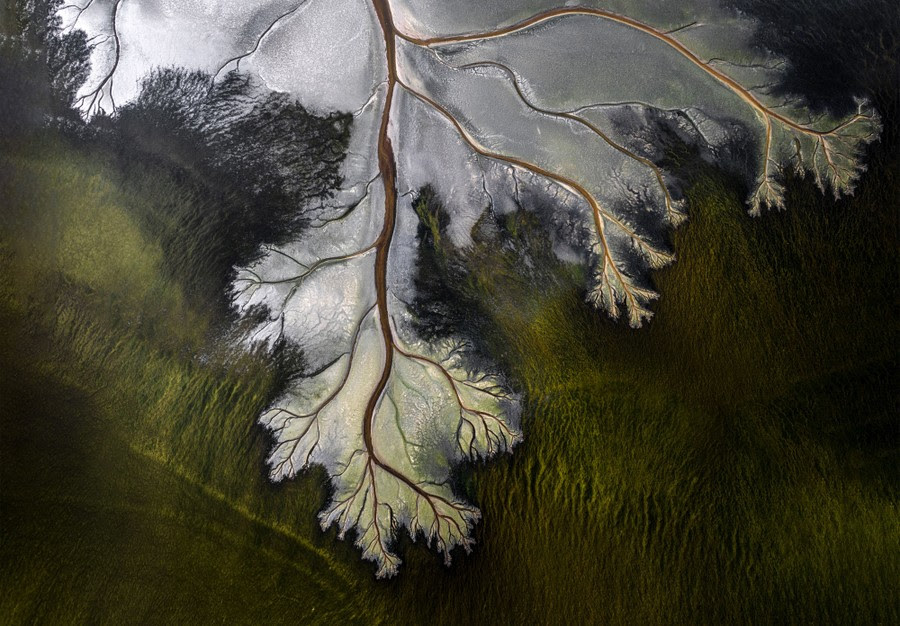 An aerial view of the branches of a delta formation.