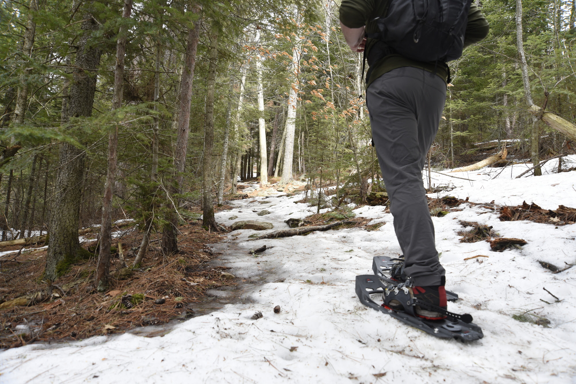 Hiker wearing snowshoes on snowy trail
