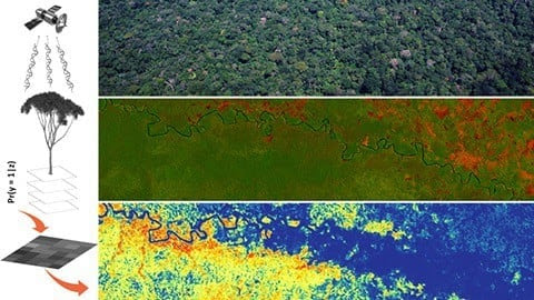 Mapping Tree Species in Amazonia Using Satellite Imagery and Machine Learning