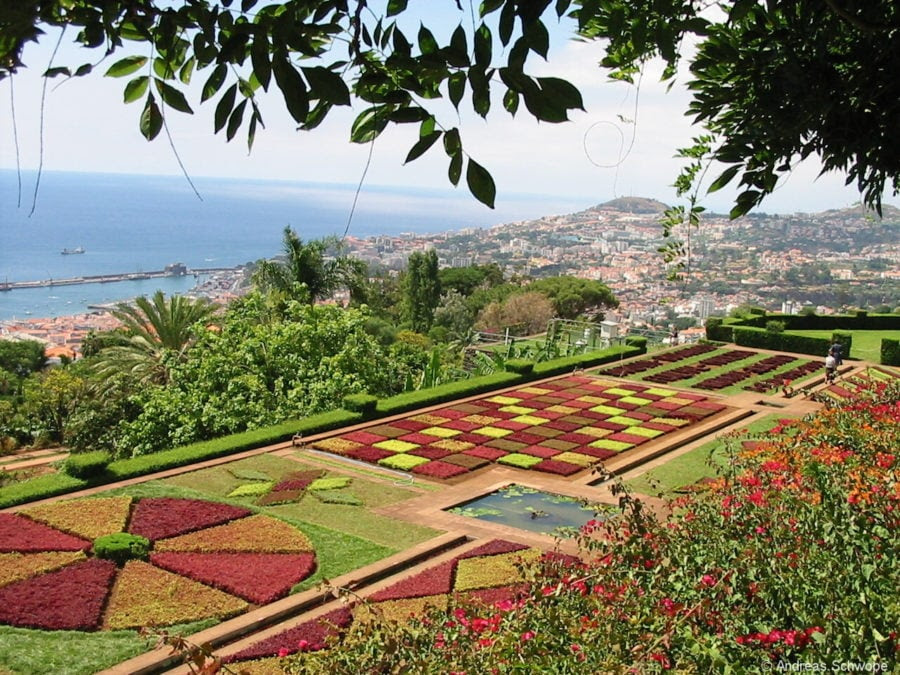 Jardim Botânico da Madeira