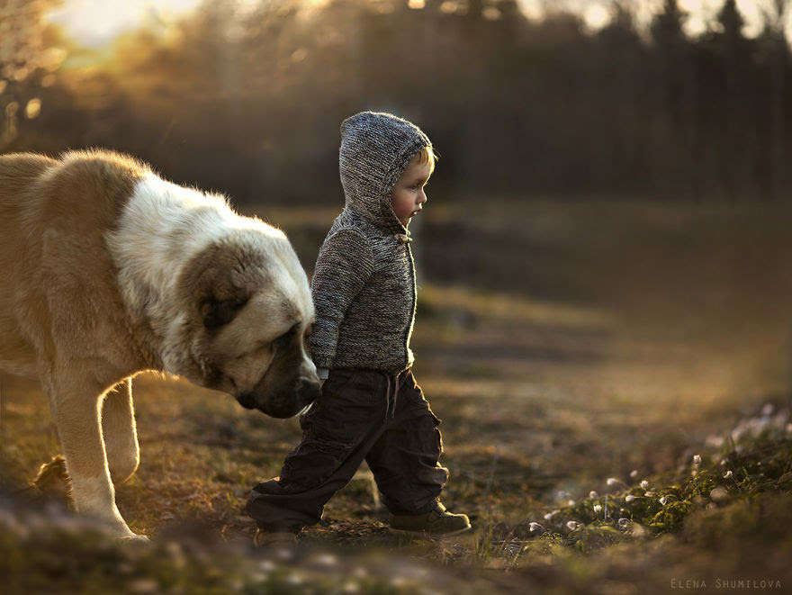 animals-children-photography-elena-Shumilova-18