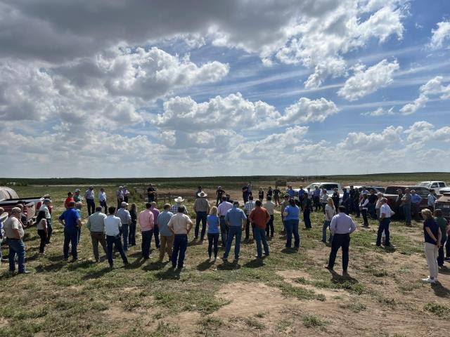 Unnamed____.jpg Image