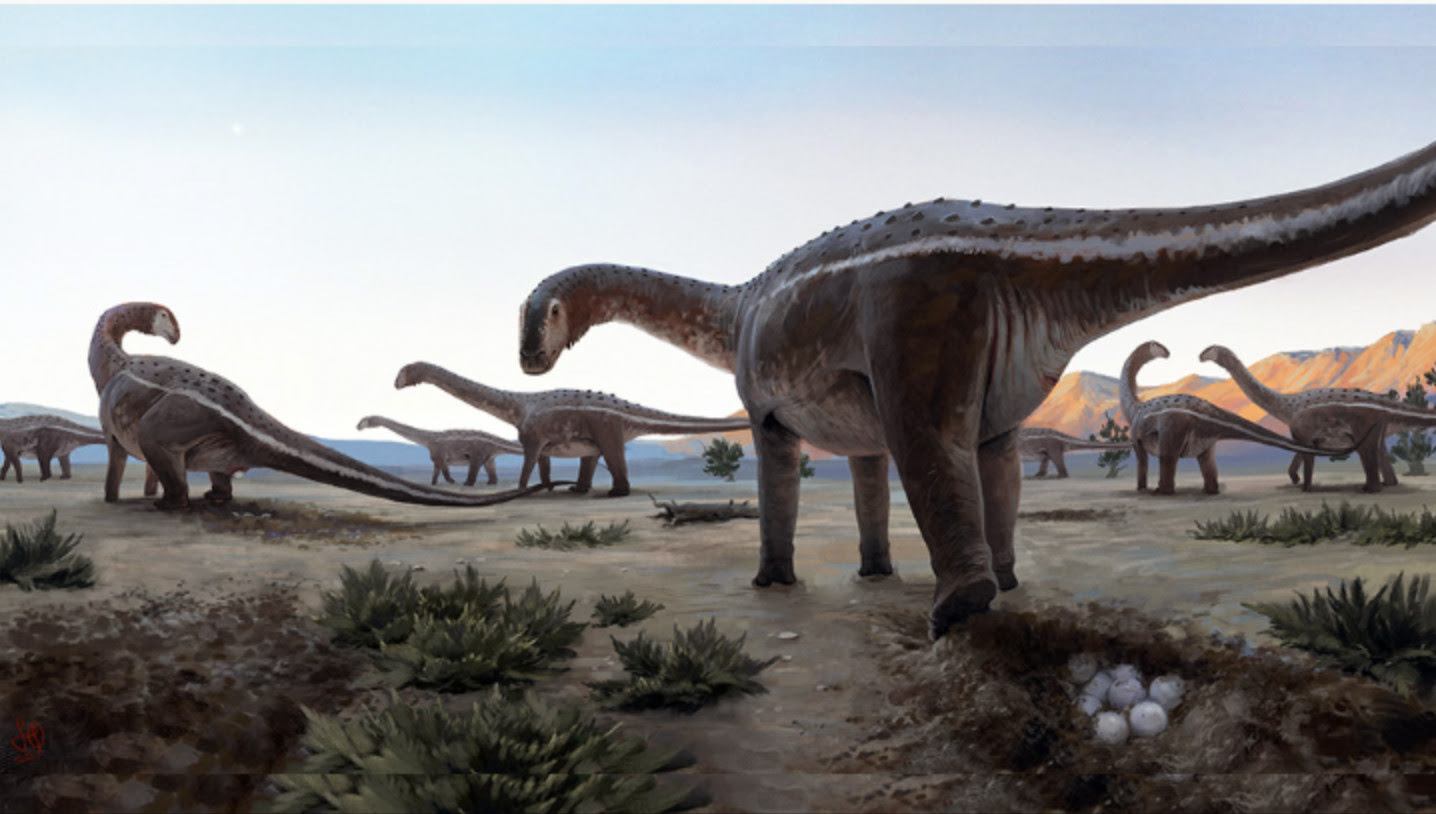 Investigadores descubrieron en Brasil el primer sitio de nidificación de titanosaurios (CONICET)