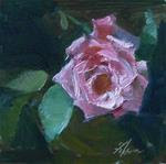 Pink Rose Study - Posted on Wednesday, March 11, 2015 by Kelli Folsom