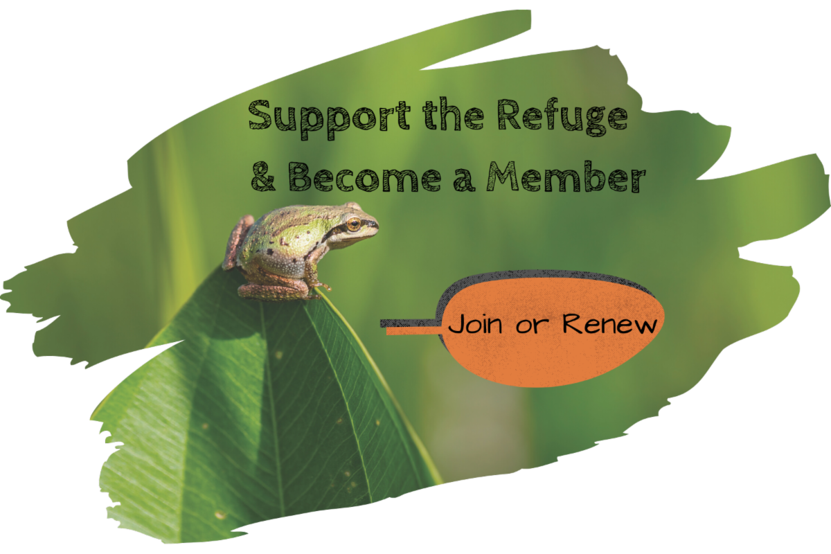 "Support the Refuge, Become a Member" written over a tree frog next to which is a leaf with the words "Join or Renew" on it
