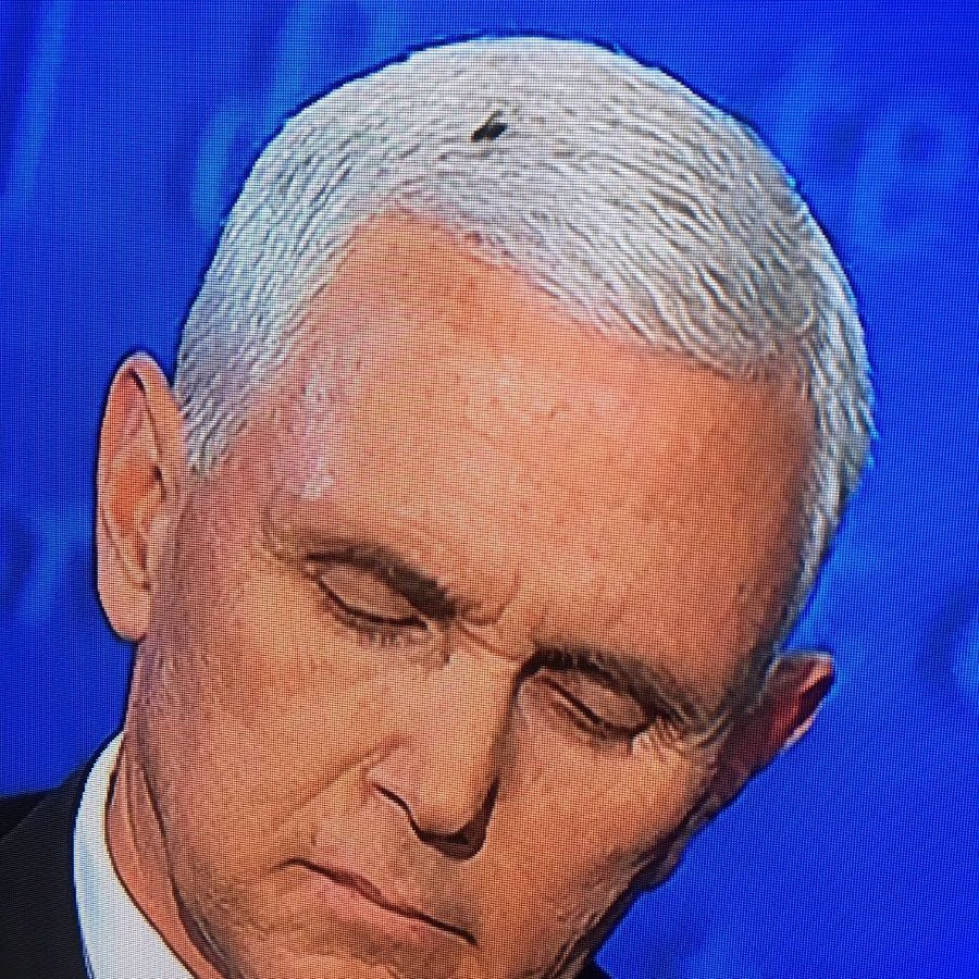 Fly on Pence