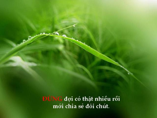 http://www.dongcong.net/photogallery/Cham-Ngon_CS/cs_clip_image021.jpg