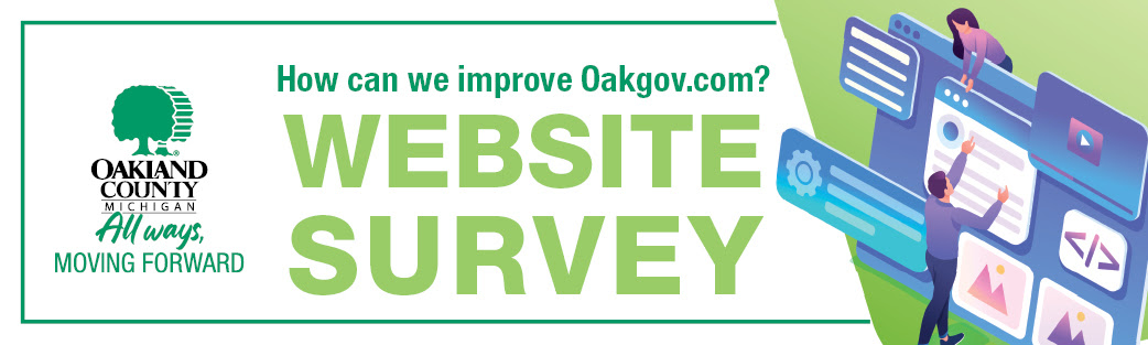 website survey
