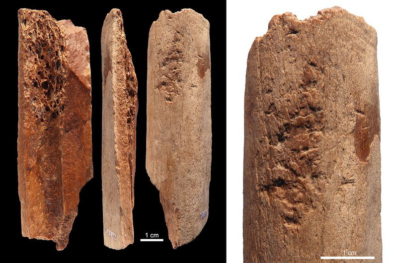 Sophisticated 115,000-Year Old Stone Tools Discovered In China