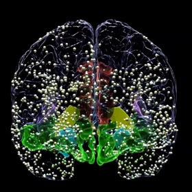 Direct Evidence of Disrupted Serotonin Release in Depressed Brains