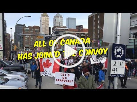 Cities across Canada join the movement