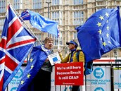 Protibrexitové demonstrantky postávají před budovou parlamentu v Londýně. (15....