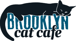 Brooklyn Cat Cafe Donations