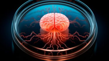 Brain Organoid Petri Dish Art Concept