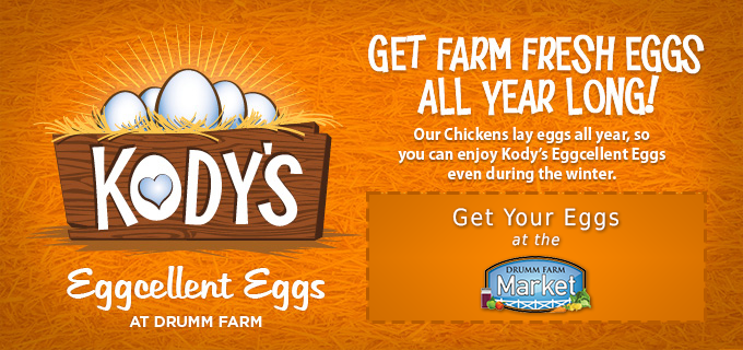 Our chickens lay eggs all year_ so you can enjoy Kody_s Eggcellent Eggs even during the winter. Get you eggs at the Drumm Farm Market.