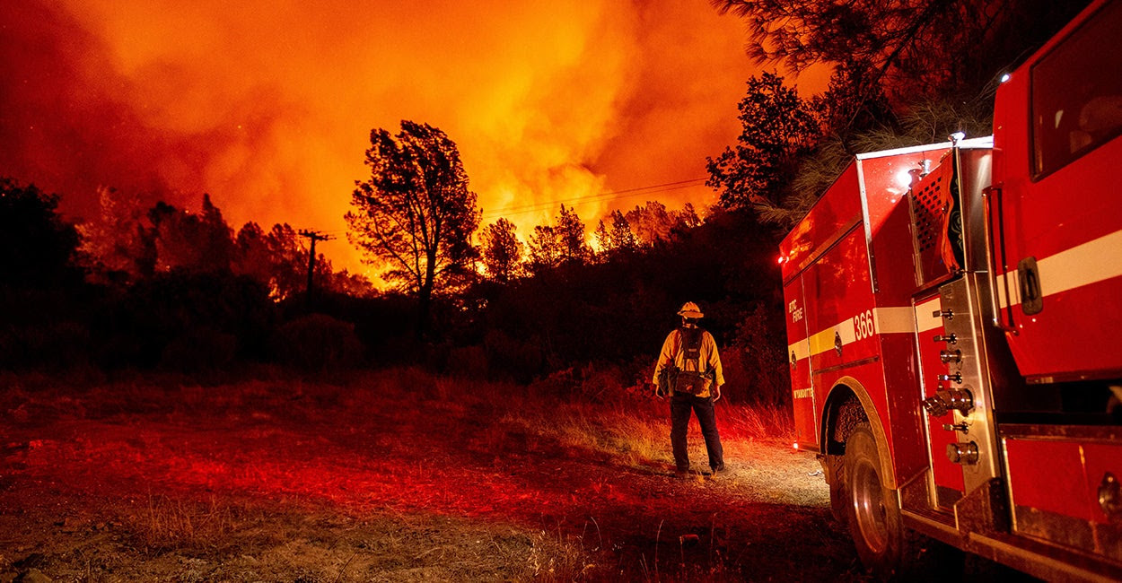 Wildfires Will Get Worse Under Decades-Old Liberal Policies, Veteran Forester Says