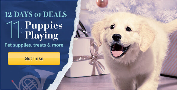 12 Days of Daily Deals on Amazon