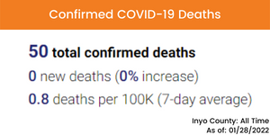 Deaths_01.28.2022_english.png