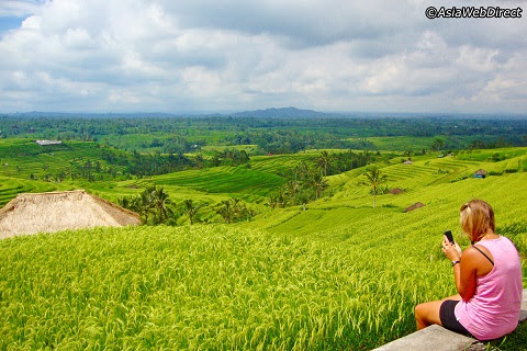 Jatiluwih Rice Terraces Tabanan Bali