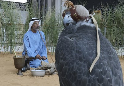 Part of the Abu Dhabi International Hunting and Equestrian Exhibition (ADIHEX 2021), auctions of falcons, horses, and camels, as well as the most beautiful captive-bred falcons, and Saluki beauty contest (Arabian hunting dogs) are among the most prominent events, in addition to educational and environmental activities and heritage shows.