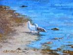 'Gullfriends' An Original Oil Painting by Claire Beadon Carnell 30 Paintings in 30 Days Challenge Da - Posted on Sunday, January 18, 2015 by Claire Beadon Carnell