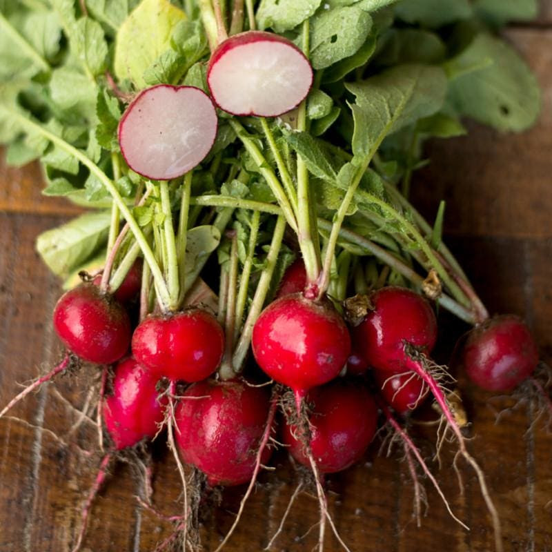 Image of Cherry Belle Radish (Heirloom 21 Days)