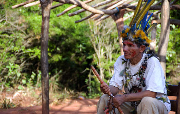 The Guarani&apos;s ancestral lands have been stolen from them to make way for agro-industry
