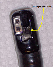 Distal end, Model TJF-Q180V (Olympus) – Illustrating the orientation of forceps elevator in the (a) ‘lowered/ closed’ position and (b) ‘raised/ opene