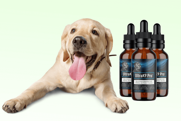 UltraK9 Pro Reviews : Does It Really Keep Your Dog Happy Or A Gimmick? -  Sustainable Food Trade Association| Sustainable Food Trade Association