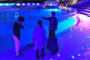 夜のいきものたちはどうしているかな?