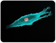Leishmania genome study reveals the parasites adaptation to the environment