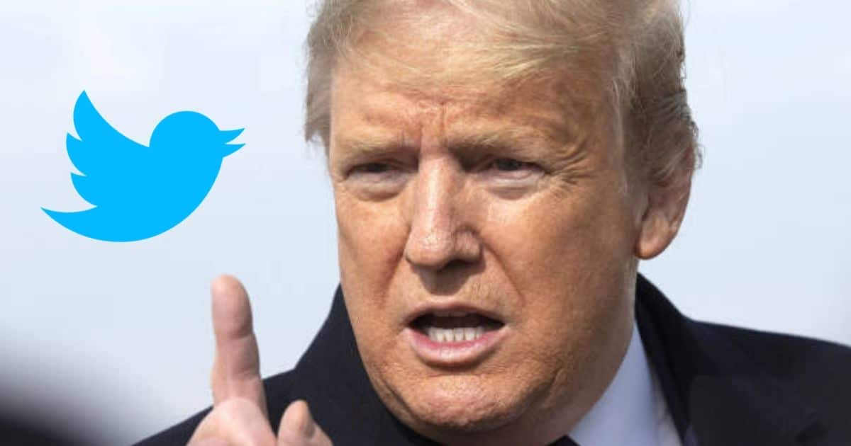 Trump Gets Shock Liberal Support for Twitter Return - Donald's Response Has MAGA Supporters Cheering