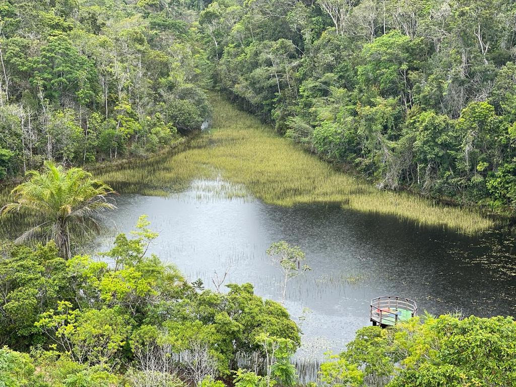 Parque Nacional do Descobrimento é destino turístico na Bahia