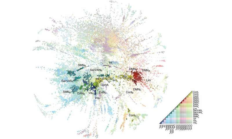 New model of human brain 'conversations' could inform research on brain disease, cognition