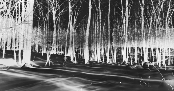 Vera Lutter Cold Spring IX print