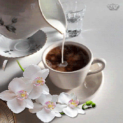 GIF by Maria Monastirli | Good morning coffee gif, Good morning coffee,  Coffee gif