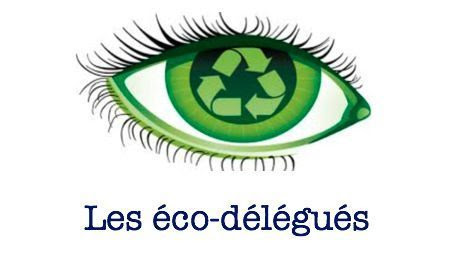 Un nouveau logo pour le club des éco-délégués | Collège Paul-Emile Victor