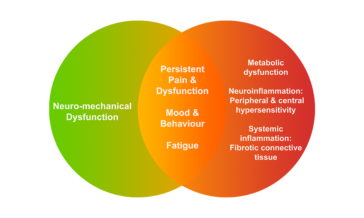 24476995_1638526914lIbVenn-002a.png