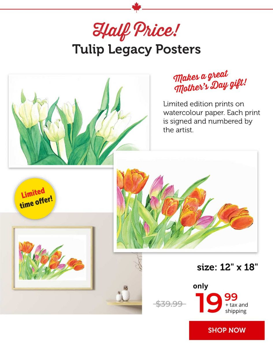 Tulip legacy posters