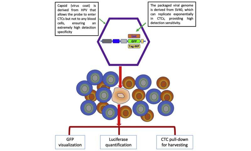 New method for detecting tumor cells with high specificity and sensitivity