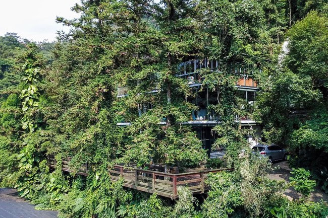 Vị giáo sư độc thân sở hữu ngôi nhà kính trong thung lũng 12.000m² với cuộc sống khó ai tin được - Ảnh 2. Vị giáo sư độc thân sở hữu ngôi nhà kính trong thung lũng 12.000m² với cuộc sống khó ai tin được - Ảnh 2.