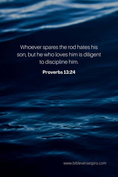 Proverbs 13_24