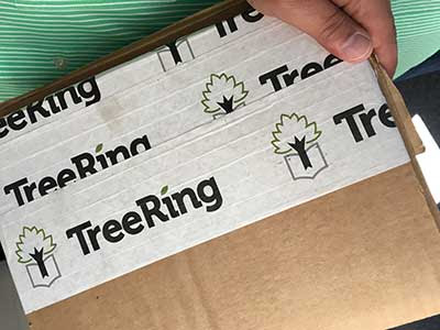 TreeRing
Package Example
