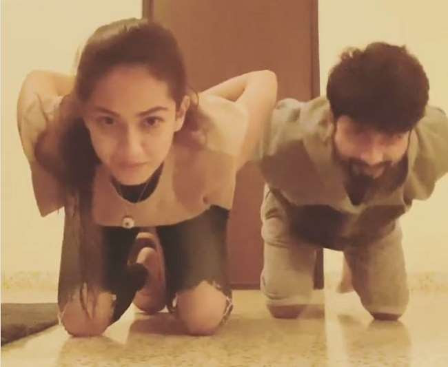 शाहिद कपूर जल्द कई फिल्मों में नजर आनेवाले हैंl