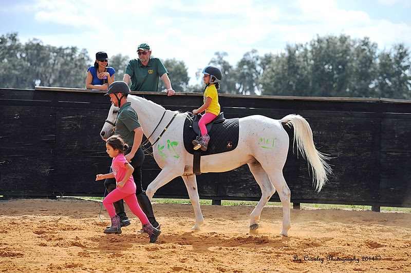 Al-Marah Arabians Offer New Equestrian Activities for 2015