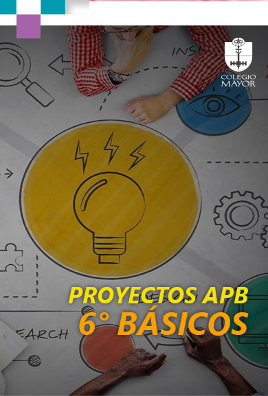 Proyectos APB 6° Básicos
